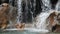 Woman Bathing Under Beautiful Tropical Waterfall