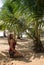 Woman on the beach sitting palm tree