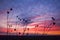 Woman and beautiful calm summer sunset sky, thinking, meditation photo in nature