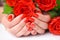 Woman beautiful hands with red manicure and scarlet roses