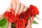 Woman beautiful hands with red manicure and scarlet roses on white background