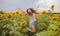 Woman in beauty field with sunflowers