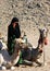 Woman Bedouin in black clothes against the background of lying camels.