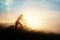 Woman with bicycle on a rural road with grass sunset background