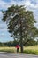 Woman bicycling in summer in Finland