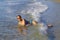 Woman and bikini blue beautiful play wave at beach