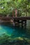 Woman with bikini stands on the bridge ,Bonito,Brazil