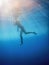 Woman in Bikini Underwater Perspective in the Tropical Sea