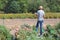 Woman biologist exploring plants