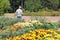 Woman biologist exploring plants