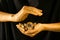 Woman with bitcoin and gold nuggets on black background, closeup