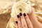 Woman with black manicure holding beautiful flower on golden background. Nail polish trends