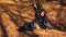 Woman In Black Playing With Leaves In Autumn