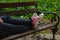 Woman in black ripped jeans and pink canvas sneakers sitting alone on  bench