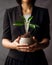 A Woman in a black suit holding a plant, copy space on left, a businesswoman with a seedling. Generative AI