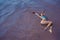 A woman in a blue bikini swims on her back in a salt lake. Miracle of nature pink lake. Deposit and extraction of salt