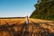 Woman in blue linen dress enjoying nature in sunset field. Stress and psychological resilience. Spend Time in Nature to