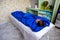 Woman in blue pressotherapy suit lying down having pressure therapy for weight loss in spa salon. Doctor help lose weight and