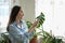 Woman in blue shirt wipes leaves of plants Monstera with wet cloth, caring for indoor home plants, nature-inspired environments