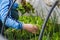 A woman in a blue sweater and green pants is sitting in a greenhouse holding a salad and harvesting. Arcs in the