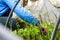 A woman in a blue sweater and green pants is sitting in a greenhouse holding a salad and harvesting. Arcs in the