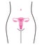 Woman body and organ uterus, vector illustration