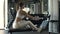 Woman bodybuilder sitting on trainer equipment for lifting weights in gym club