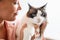 Woman bonding with cat holding pet over white background, closeup