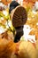 Woman boot walking on autumn leaves, bottom-up view. Close-up of a woman stepping on leaves