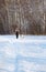 Woman with borzoi outdoors