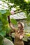 Woman botanist dressed in safari style in greenhouse. Naturalist in glasshouse, holding stem of pink lotus flower