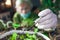 woman botanist experimenting with microgreen plants