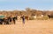 Woman and boy tend cattle in harsh dry Arfican landscape