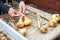 Woman braids fresh onions, preparation for drying