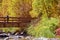 Woman on bridge. Autumn trees and river