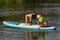 Woman in bridge pose on SUP at water