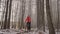 The woman in bright a trigger walks with a dog. The winter forest in Russia. The young beautiful woman walks with a