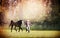 Woman and brown horse running across meadow with big trees