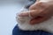 Woman brushes cat`s teeth with a toothbrush on her finger, close-up