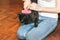 Woman is brushing black cat. Pet grooming. Fur shedding. Happy animal