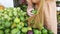 Woman Buy Fresh Avocado at Exotic Rural Market