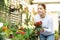 Woman buying kalanchoe blossomfeld in flower shop