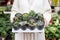 Woman buying prickly cactus, holding a collection of various potted plants - different cacti and succulent