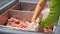 Woman buys meat, looks at pieces of meat on a chicken picks pieces of meat with tongs at a market, in a supermarket.