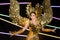Woman in Cabaret Carnival Fancy Dress Gown with glitter, luxury decoration