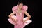 Woman in Cabaret Carnival Fancy Dress Gown with glitter, luxury decoration