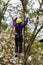 Woman on cables in an adventure park