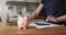 Woman calculates expenses closeup focus on piggybank