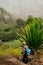 Woman with camera and backpack near one huge agave plant with arid landscape of location called Corda in background