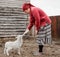 A woman carefully feeds a small cute white goat with milk from a bottle with a pacifier in a Siberian village, Russia